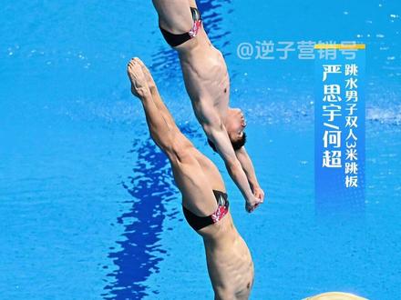 #亚运会 中国跳水梦之队的实力有多恐怖:13年无一败绩。#全红婵 #郭晶晶 #跳水梦之队