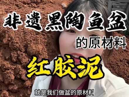 黑陶鱼盆的原材料,红胶泥!#黑陶鱼盆#鱼缸#非遗传承