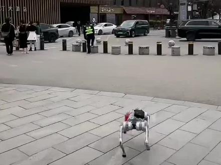 西安口音的机器狗遇见香港游客##西安机器狗摩仔#智能机器人#机器狗