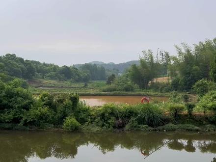 原来最深的治愈,不是做了什么惊天动地的事,而是在这里你可以卸下所有铠甲,你不需要证明什么,不需要穿得体面,不需要说话滴水不漏。治愈你的,其实是那种“被允许”的感觉——被允许慢下来,被允许沉默,被允许什么都不做,只是活着。#真实生活分享计划#我的乡村生活