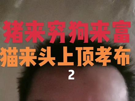 老王讲故事猪来穷狗来富,猫来头上顶孝布(2)#祝各位亲朋好友身体健康