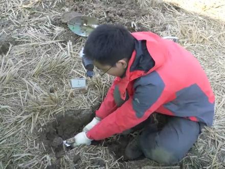 第三次全国土壤普查:表层土壤调查与采样