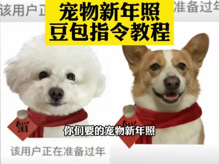 狗狗合照ai指令狗狗 豆包狗狗过年ai生成指令 豆包ai生成宠物头像 小狗过年豆包口令 狗狗过年ai指令 豆包狗狗过年ai生成指令头像 豆包ai拍力得小狗 豆包双动物ai生成指令过年 该用户正在准备过年头像 该用户正在准备过年小狗口令 狗狗新年豆包ai指令教程来了#狗狗新年照 #狗狗ai新年照 #豆包ai #狗狗合照ai指令 豆包狗狗ai生成指令过年 豆包ai生成宠物指令 豆包ai宠物图片指令 狗狗新年豆包ai指令