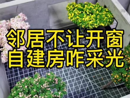 3面邻居不让开窗,农村自建房采光也能好 #农村自建房 #农村生活 #图纸设计 #宅基地建房 #邻里纠纷