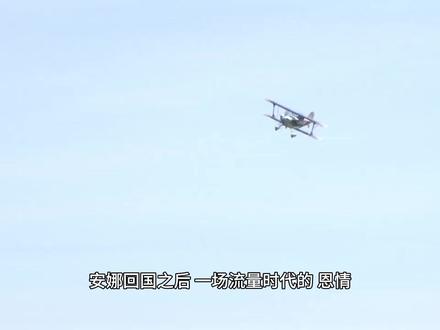 安娜回国之后:一场流量时代的“恩情”困局与商业反思