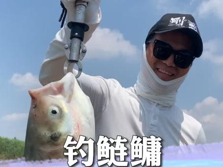 钓鲢鳙总是脱钩的原因在这里!#钓技钓法 #抖音垂钓季