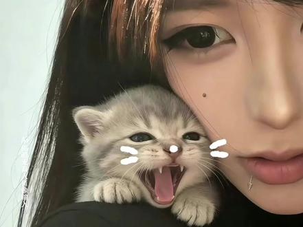 豆包P图小猫趴肩膀AI指令教程来了!小猫豆包p图趴头上 豆包小猫p图趴头教程 和小猫合照ai口令豆包贴在脸颊 和小猫合照特效 和小猫合照怎么拍 豆包小猫趴在肩膀上 豆包p图指令小猫 豆包ai小猫 小猫趴头上照片 豆包指令 小猫趴肩上 宠物头像定制 奶油风宠物头像 奶油性格小猫文案 小猫合照 小猫ai 小猫特效 奶油小猫情头 这小猫怎么乱七八糟的 猫猫:谁还不是个超模了 #豆包ai #豆包P图已经nextlevel了#这小猫怎么乱七八糟的 #我和猫 #治愈猫咪
