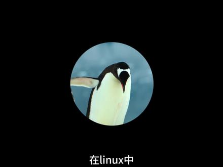 如何修改linux的文件权限#linux #运维 #程序员