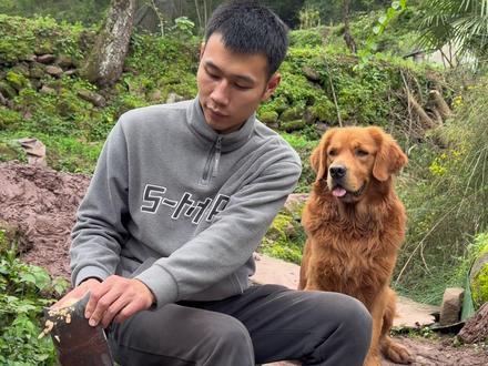 锄头使用教程#锄头 #农技推广 #技术分享 #萌宠 #农村生活