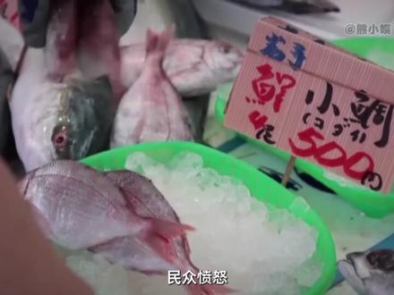日本开启第20轮核污水排海 #热点 #日本 #日本核废水 #海洋生物 #食品安全