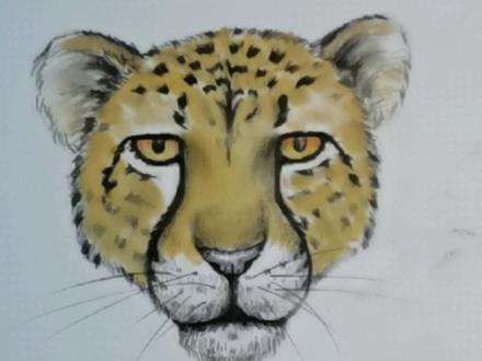 你还在这样画豹子吗?那你一定走的可爱路线,试试我的方法。#画画#零基础学画画 #素描 #手绘豹子@DOU+小助手