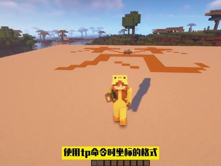 #我的世界mc 使用tp指令时坐标的格式#我的世界