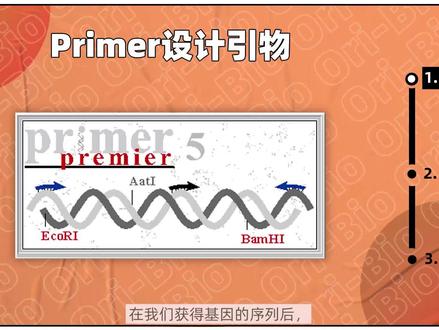【实验新手必备】QPCR引物设计教程(下):引物设计与Blast
#实验新手 #引物设计 #PCR #Primer #BLAST #miRNA