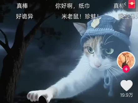 抖音已被萝卜猫入侵#萝卜纸巾 #萝卜纸巾猫 #真棒 #猎奇