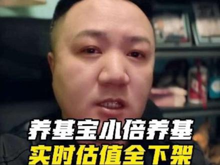 养基宝小倍养基实时估值全下架,基民瞬间没了“盘中导航” #基金 #理财