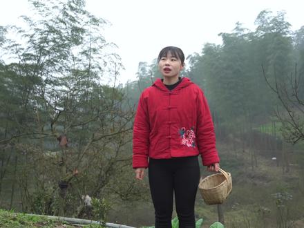 给家人摘点青果炖猪肚汤,益气养胃,贴心小棉袄幸福一家 #幸福 #农村生活