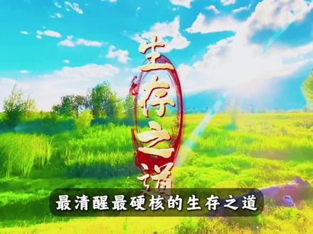 自然界的满分营养品鸡蛋,为什么是人类最完美的食物 #鸡蛋 #营养早餐 #养生 #健康 #消费主义陷阱