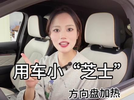 方向盘加热功能#比亚迪 #秀出你的神座驾 #小技巧你学会了吗 #用车小常识 #汽车那些事
