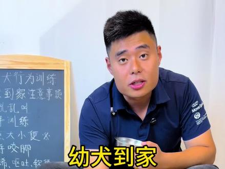 幼犬到家如何训练听口令吃饭,非常简单,一个碗,一条狗就能训练##科学养宠攻略 #训犬 #养狗经验分享 #训狗经验分享 #幼犬到家