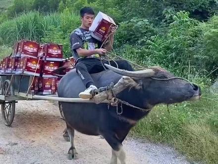 《失恋的男人》
#搞笑