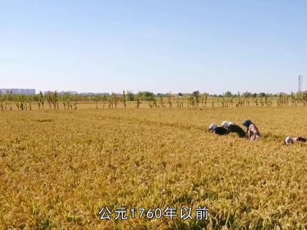 工业革命的本质,打开新世界大门的钥匙,现代化加速器 #工业革命 #现代化 #英国 #工业革命没发生在我国