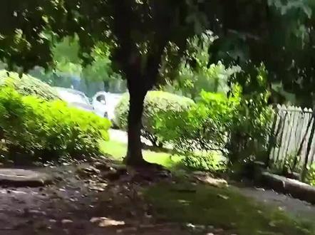 #轧戏#陈星旭#卢昱晓#代旭#胡羞裴轸肖稚宇#我要上热门