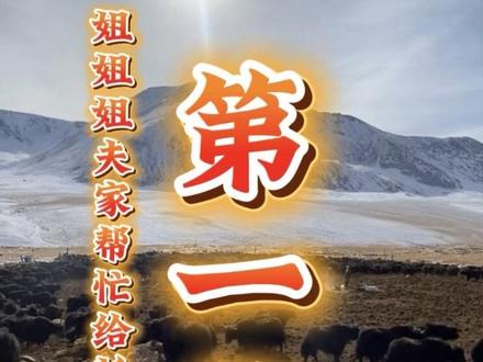 牧区最传统的标记方式——给牦牛打烙印。
烧红的烙铁,落下的是安心,
再多牦牛,也不怕丢了。
#马背上的民族 #有福有爱有梦想家 #牦牛 #新疆是个好地方