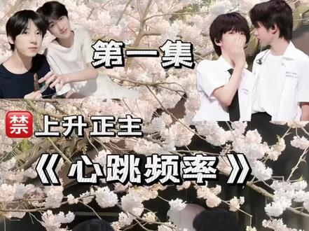 |第一集|《心跳频率》#恒铭奇文桂瑞