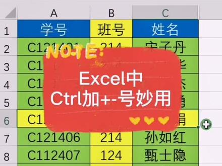#excel Ctrl加加减号妙用 #学习 #干货 #每天学习一点点 @抖音能量站 @抖音小助手