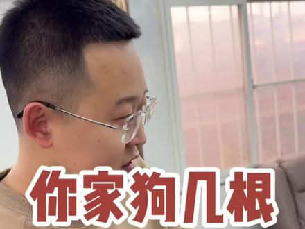 你家狗狗下吧几根胡须 #萌宠 #狗狗 #不养狗不知道养狗的乐趣 #养狗人 #王小将