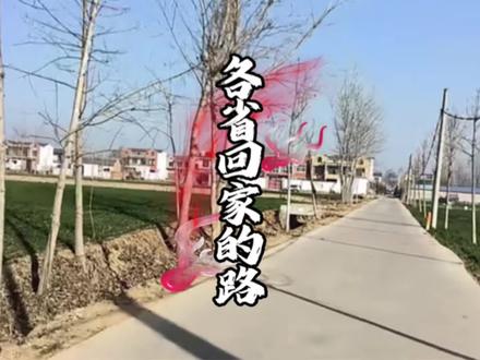 大型纪录片《各省回家的路》 #回家路 #回老家 #回家路上 #回家过年那条路 #回家过年