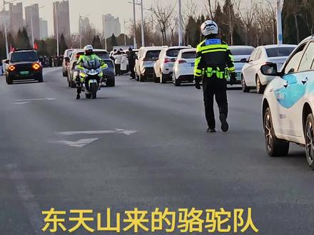 天山来的骆驼队🐫🐫
来我们大渭南了😜😜
#拍摄现场直击 #骆驼 #场面壮观 #文旅传承 #人山人海太热闹了