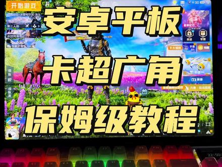 安卓平板超广角保姆级教学 安卓平板如何卡超广角,保姆级教学 #安卓平板 #超广角 #和平精英超广角 #vivopad5pro #平板