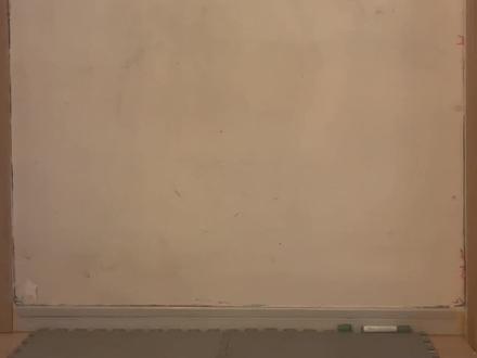 锯齿鲨,利维坦和小露脊鲸