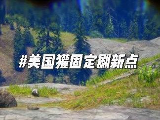 打猎教程——三只美国獾固定刷新点#荒野大镖客2