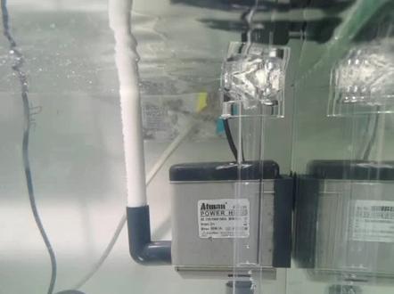 创星305-306水泵如何改装进水 加装除油膜面吸接头教程#diy水族箱#创星水泵 #鱼缸除油膜