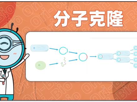 生物实验小白必备:Snapgene软件在无缝克隆技术中的应用(载体构建、引物设计、酶切验证及比对序列)
#生物 #实验 #分子克隆 #snapgene #载体构建