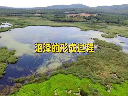 沼泽的形成,自然与人类的默契配合!