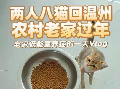 2人8猫回温州农村老家过年|宅家慢生活的一天vlog#农村生活 #养猫新手 #日常vlog #萌宠出道计划 #铲屎官日记
