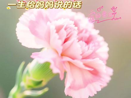 一生给妈妈说的话,母亲节快乐👩