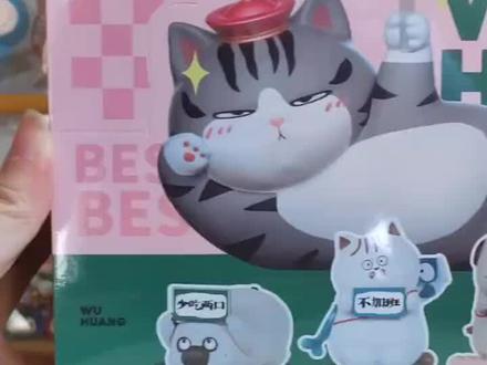 #日常拆盲盒 吾皇猫来啦,就喜欢你看不惯我又无可奈何的样子。