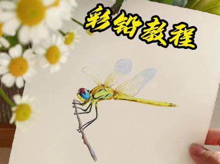 “我对蜻蜓说:下次再见,要等来年。蜻蜓对我说:若是重逢,已是来生。”#彩铅画 #蜻蜓