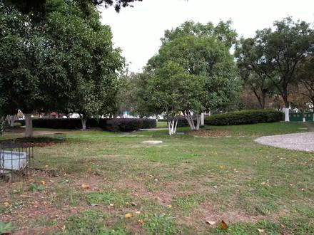 第一次低空飞行,有点不流畅,O3信号和图传还是非常奈斯的# #身边的风景 #穿越机 #航拍 #大疆无人机 #运镜