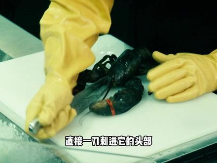 你知道深海到底害死了多少海洋生物吗? #黑袍纠察队 #深海 #祖国人 #dou来聊影视 #美剧