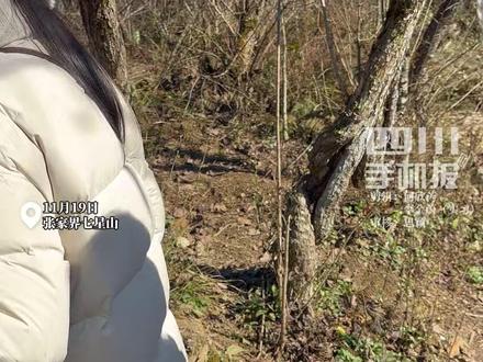 林北带女友重返荒野赛场,深情对唱,当场感慨:“人生幸福不过尔尔……” #荒野求生 #林北 #七星山 #林北女友