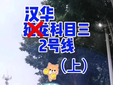 柳州汉华科目三2号线(上)#考驾照 #科目三