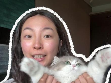 怒扒八类“猫咪杀手”! #万物可爱计划 #养宠人不苦夏 #养猫人 #猫中毒