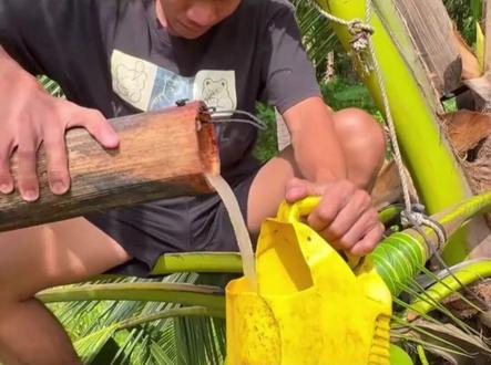 尼帕病毒来势汹汹,国家疾控建议→ #病媒 #尼帕病毒 #病媒生物 #疾控 #科普