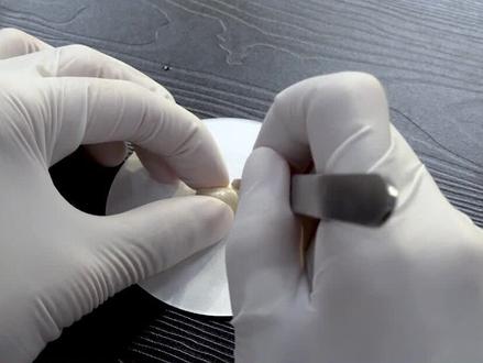 #实验 使用 #显微镜观察 #花生 子叶中的 #脂肪 颗粒