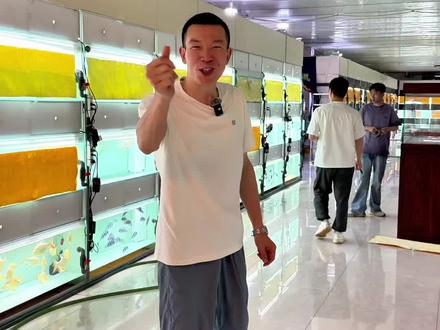 龙鱼 特价鱼来了,给大家清仓处理。高品质低价格#龙鱼 #观赏鱼